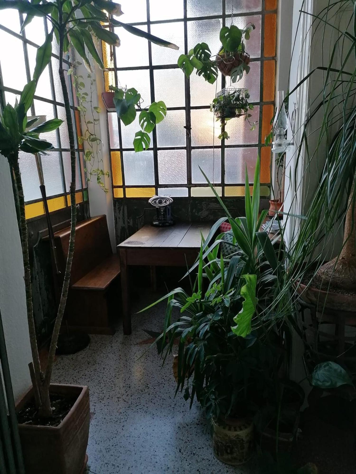 ウーディネ The Liberty Terrace Bed & Breakfast エクステリア 写真